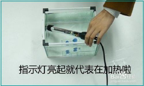 大魚缸怎么加熱省電：如何選擇合適的魚缸加熱棒，魚缸加熱省電攻略，選對加熱