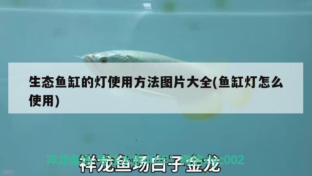 黃島區玉云澤水水族館（黃島區玉云澤水水族館電話）島區玉云澤水水族館，探秘海洋奇