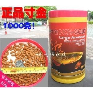 金龍魚一天喂多少飼料，龍魚每日飼料投喂量多少為宜？科學喂養方法及