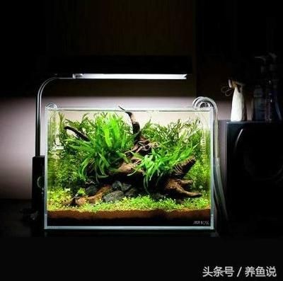 吃魚缸殘?jiān)聂~有哪些:吃魚缸殘?jiān)聂~主要包括以下幾種:以上魚類可以作為清理魚缸的選擇,魚缸殘?jiān)聂~有哪些?這些魚類可作清理魚缸之 魚缸百科 第2張 吃魚缸殘?jiān)聂~有哪些:吃魚缸殘?jiān)聂~主要包括以下幾種:以上魚類可以作為清理魚缸的選擇,魚缸殘?jiān)聂~有哪些?這些魚類可作清理魚缸之 吃魚缸殘?jiān)聂~有哪些:吃魚缸殘?jiān)聂~主要包括以下幾種:以上魚類可以作為清理魚缸的選擇,魚缸殘?jiān)聂~有哪些?這些魚類可作清理魚缸之 魚缸百科 第2張