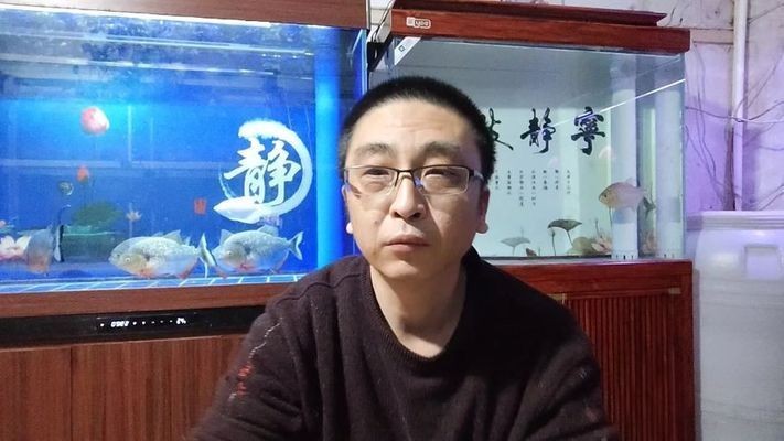 大梅家的魚缸里面都有什么東西：大梅家的魚缸里有一些魚類和非魚類的生物具體細節，大梅家魚缸里的小世界，魚類與非魚類
