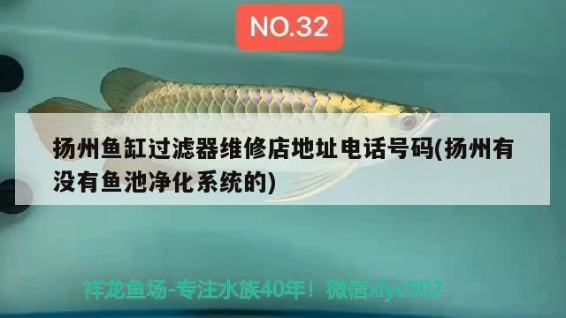 揚(yáng)州魚缸過(guò)濾器維修店地址電話號(hào)碼(揚(yáng)州有沒(méi)有魚池凈化系統(tǒng)的)魚缸過(guò)濾器維修店地址電話及魚池凈化系統(tǒng)相關(guān)情況匯總