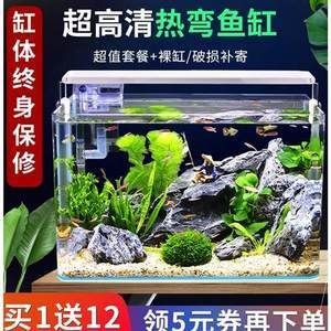 大鱷龜魚缸造景圖：\"大鱷龜魚缸造景圖\"搜索結果，鱷龜魚缸造景圖，獨特生態景觀，打造專屬龜