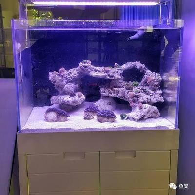 安裝魚缸下柜子視頻：如何安裝魚缸下柜子，安裝魚缸下柜子視頻教程，步驟詳解與注意事項全解析