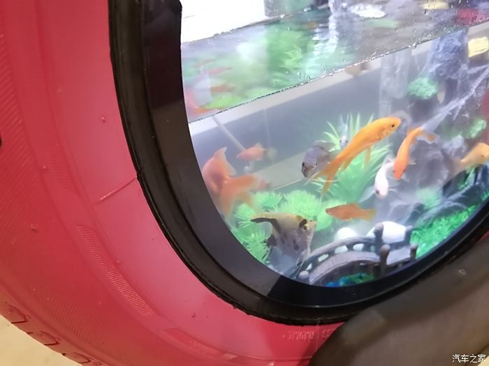 泰安市泰山區(qū)沐天水族館（泰安市泰山區(qū)沐天水族館電話）市泰山區(qū)沐天水族館，探尋其魅力及聯(lián)系電話詳情