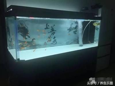 動森 魚缸 橫著放：《動物森友會》魚缸尺寸選擇指南選擇魚缸尺寸選擇指南，動森魚缸橫放攻略，尺寸選擇及擺放要點詳解