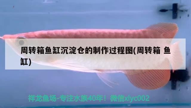 周轉箱魚缸沉淀倉的制作過程圖(周轉箱魚缸)周轉箱魚缸沉淀倉制作全記錄，步驟詳解與注意事項
