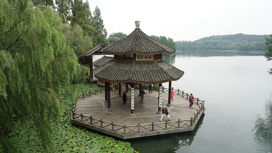 印尼紅龍魚多少錢一條合適養殖(印尼紅魚價格)紅龍魚價格多少合適養殖？印尼紅魚市場行情解析