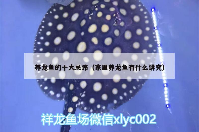 養(yǎng)龍魚的十大忌諱（家里養(yǎng)龍魚有什么講究）養(yǎng)龍魚十大忌諱全解析，家里養(yǎng)龍魚的講究