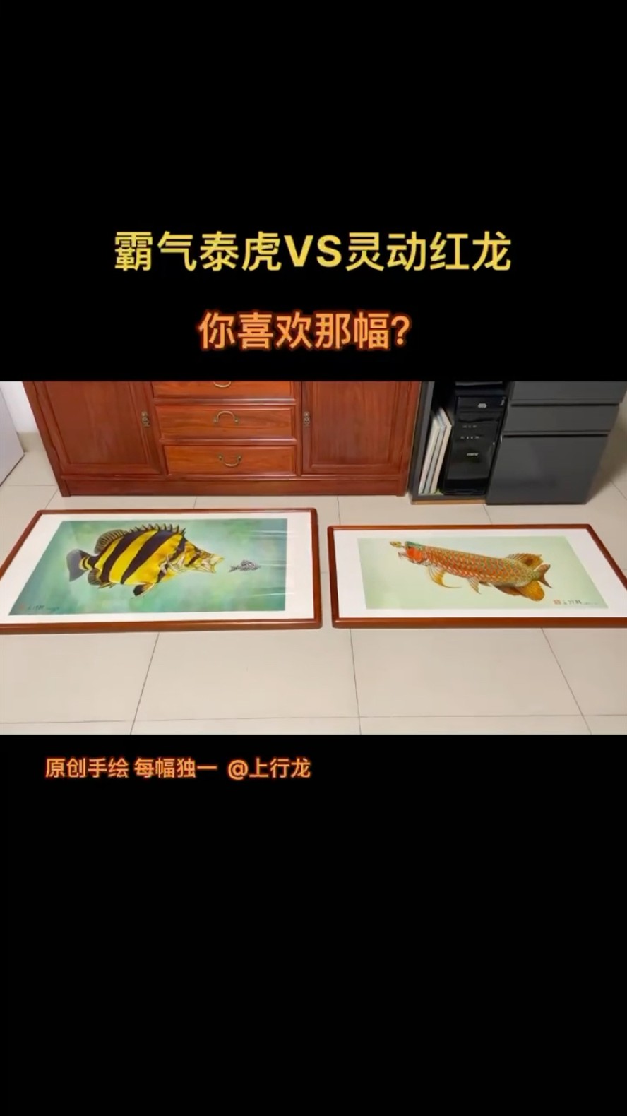 霸氣泰國虎魚VS靈動紅龍魚你喜歡那幅？泰國虎魚與靈動紅龍魚對決，你更鐘情