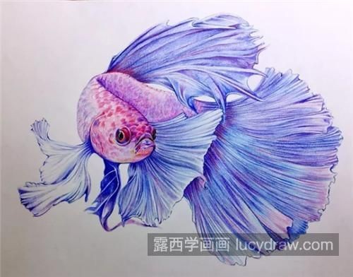 龍魚畫畫作品名稱怎么寫好看，龍魚繪韻，探尋龍魚畫畫作品的詩意命名之道