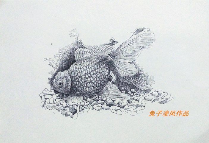 龍魚畫畫作品名稱怎么寫好看，龍魚繪韻，探尋龍魚畫畫作品的詩意命名之道