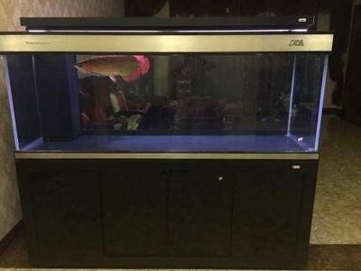 比彩蝶好的魚缸品種：哪些品牌的魚缸比彩蝶魚缸更好？彩蝶好的魚缸品種，探尋優于彩蝶的優質魚缸品牌