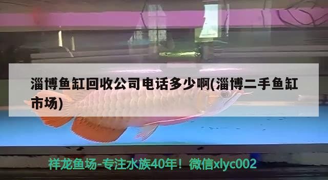 淄博魚缸回收公司電話多少啊(淄博二手魚缸市場)魚缸回收公司電話及二手魚缸市場相關信息 淄博魚缸回收公司電話多少啊(淄博二手魚缸市場)魚缸回收公司電話及二手魚缸市場相關信息 銀龍魚百科