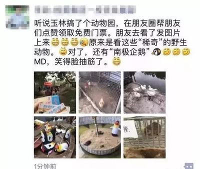 <strong><mark>桂平</mark></strong>市富寶水族館（<strong><mark>桂平</mark></strong>市富寶水族館電話）平市富寶水族館，探索水下奇妙世界，聯系電話