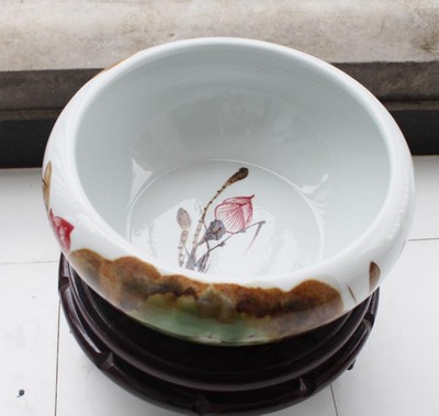 萊蕪市萊城區(qū)旺財(cái)水族館（萊蕪市萊城區(qū)旺財(cái)水族館電話）蕪市萊城區(qū)旺財(cái)水族館，電話及水族