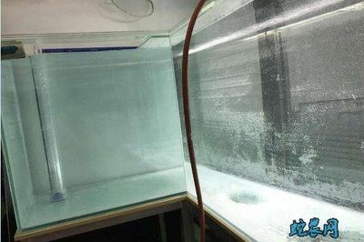玻璃魚缸怎么制作視頻：玻璃魚缸制作，玻璃魚缸制作視頻教程，從材料準備到成品打造全解析 玻璃魚缸怎么制作視頻：玻璃魚缸制作，玻璃魚缸制作視頻教程，從材料準備到成品打造全解析 魚缸百科 第3張