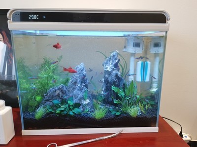 雷山縣達地水族鄉烏空村百萬生態種養殖專業合作社（雷山烏的村）山烏的村，達地水族鄉烏空村百萬