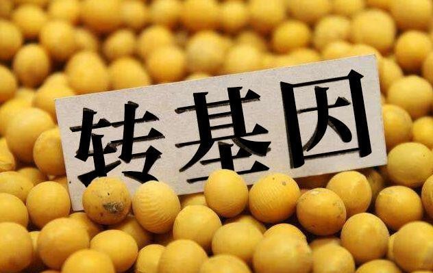 紅龍魚背景（紅龍魚背景紙什么顏色好）龍魚背景紙顏色之選，哪種顏色能為紅龍魚增色添彩？