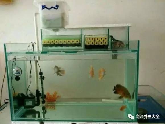 安裝魚缸視頻：名亨魚缸安裝教程名亨魚缸安裝教程名亨魚缸安裝教程，亨魚缸安裝教程，詳細(xì)步驟與注意事項(xiàng)，輕松完成魚缸安裝