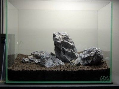 大型魚缸石頭造景圖：大型魚缸石頭造景圖片如何打造一個(gè)令人贊嘆的魚缸造景，大型魚缸石頭造景圖賞，打造令人贊嘆的魚缸景觀