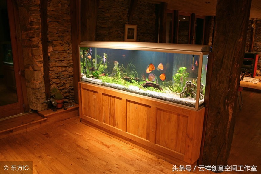 壽光市紀霞水族館（壽光市紀霞水族館電話）光市紀霞水族館，探尋海洋奧秘，暢享水族奇觀（附