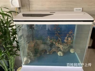 搬家魚缸怎么辦：搬家時魚缸搬運的注意事項和注意事項和注意事項，魚缸怎么辦？搬運注意事項及保護技巧詳解