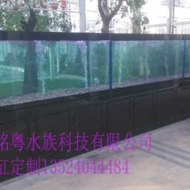 超白玻璃和浮法玻璃哪個做魚缸更好：超白玻璃和普通玻璃的區(qū)別，白玻璃與浮法玻璃做魚缸孰優(yōu)？超白玻璃
