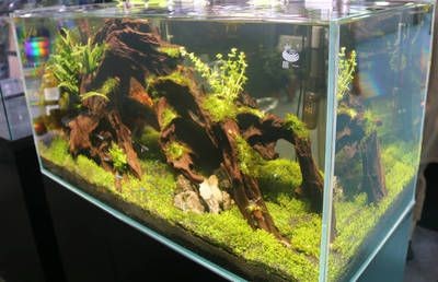 大型魚缸過濾器：大型魚缸過濾器價格，魚缸過濾器價格全解析，選購指南與