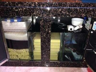 把魚缸打碎了怎么辦：魚缸破碎后的處理方法是什么魚缸破碎如何修復，打碎別慌！破碎處理方法及修復技巧 把魚缸打碎了怎么辦：魚缸破碎后的處理方法是什么魚缸破碎如何修復，打碎別慌！破碎處理方法及修復技巧 魚缸百科 第3張