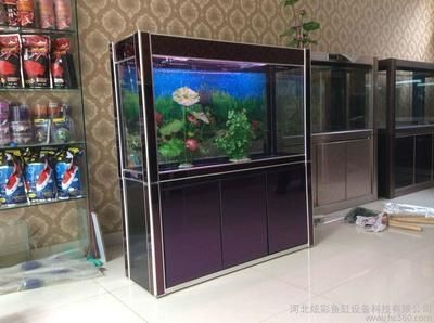 玻璃和亞克力魚缸：亞克力魚缸和玻璃魚缸的優(yōu)缺點(diǎn)，克力魚缸與玻璃魚缸大比拼，優(yōu)缺點(diǎn)全解析，助你選對心儀魚缸
