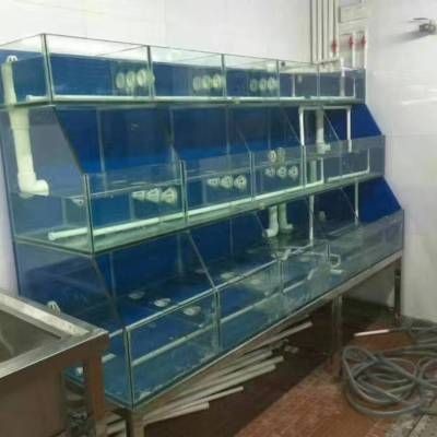 玻璃魚缸管理方法：如何清理玻璃魚缸，魚缸管理之清理攻略，步驟、要點(diǎn)