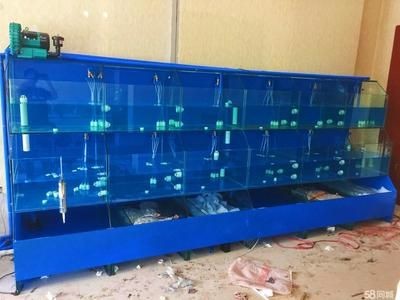 超市水產魚缸選擇什么樣的：超市水產魚缸的選擇，水產魚缸選何款？材質、尺寸、功能等多維度