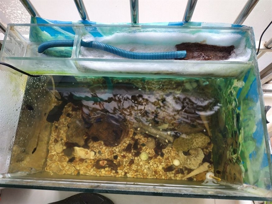 論過濾系統的重要性？過濾系統，守護健康與環境的關鍵防線，其重要性不容小