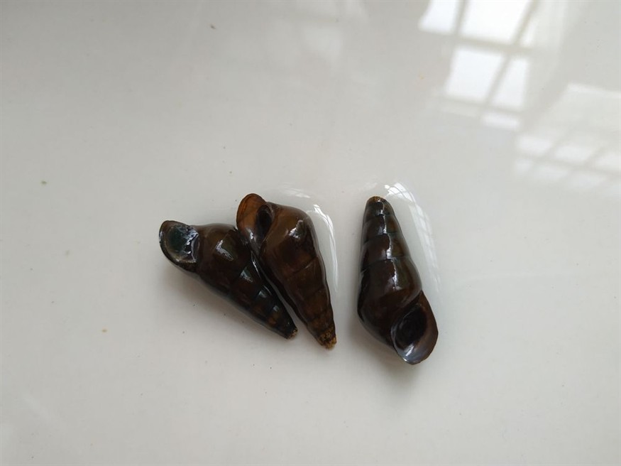 論過濾系統的重要性？過濾系統，守護健康與環境的關鍵防線，其重要性不容小