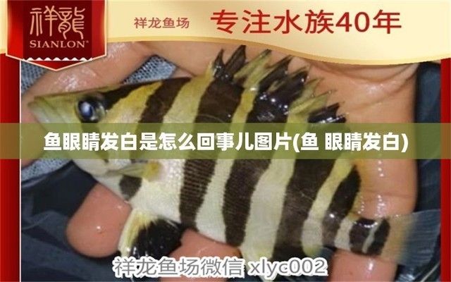 <strong><mark>泰州</mark></strong>市姜堰愛爾儀器有限公司（<strong><mark>泰州</mark></strong>愛爾眼科醫院上班時間）州市姜堰愛爾儀器有限公司及<strong><mark>泰州</mark></strong>愛爾眼科醫院