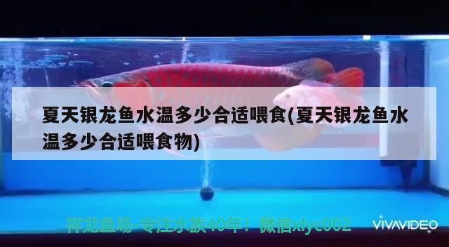 嘉興魚缸定做，平湖魚缸定做，和平湖魚缸定做