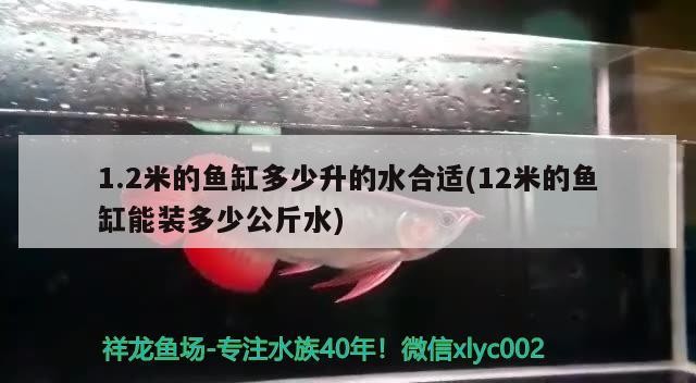 1.2米的魚缸多少升的水合適(12米的魚缸能裝多少公斤水)2米魚缸水量及12米魚缸裝水公斤數