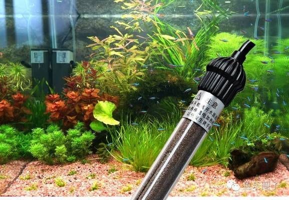大魚缸怎么加溫過濾：大型魚缸加溫過濾方法，大型魚缸加溫過濾全攻略，方法、設備及注意事項詳解
