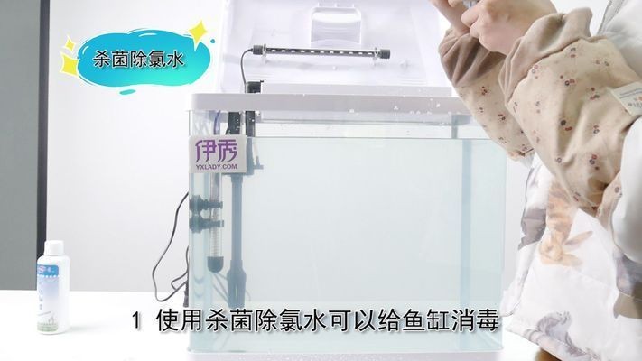 大魚缸如何清潔消毒視頻：關于大魚缸清潔消毒，魚缸清潔消毒全攻略視頻，方法、
