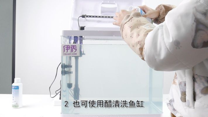 大魚缸如何清潔消毒視頻：關于大魚缸清潔消毒，魚缸清潔消毒全攻略視頻，方法、