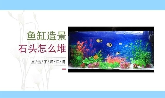 大魚缸怎么放石頭好看：魚缸擺放石頭的技巧，魚缸石頭擺放美學，技巧與布局，打造自然