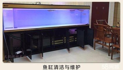 創(chuàng)海魚缸怎么安裝：創(chuàng)海魚缸安裝方法，海魚缸安裝全攻略，詳細(xì)步驟與