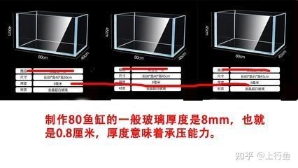 上海市普陀區(qū)嶷誠(chéng)水族店（上海市普陀區(qū)嶷誠(chéng)水族店電話號(hào)碼）市普陀區(qū)嶷誠(chéng)水族店詳情