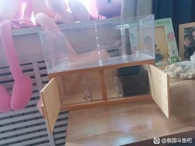斗魚魚缸怎么做：斗魚的飼養(yǎng)需要一個(gè)合適的魚缸，魚魚缸制作指南，打造適合斗魚