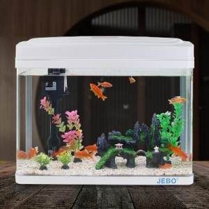 斗魚魚缸怎么做：斗魚的飼養(yǎng)需要一個(gè)合適的魚缸，魚魚缸制作指南，打造適合斗魚
