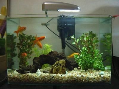 1.8米魚缸一個(gè)月多少電：1.8米魚缸一個(gè)月的耗電量因素具體情況而異，8米魚缸月耗電量揭秘，受多因素影響，具體情況