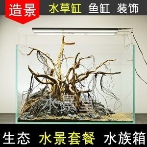 大石頭魚缸造景：大石頭魚缸造景石頭的選擇和擺放，石頭魚缸造景，石頭選擇要點與