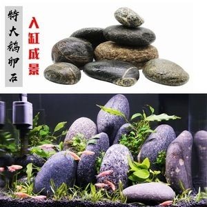 大石頭魚缸造景：大石頭魚缸造景石頭的選擇和擺放，石頭魚缸造景，石頭選擇要點(diǎn)與