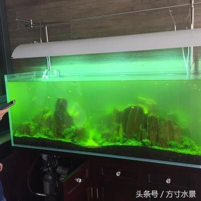 大型家用魚缸怎么打理：大型家用魚缸的打理主要包括以下幾個方面：清洗魚缸的重要步驟，大型家用魚缸打理攻略，清洗步驟及日常維護要點詳解